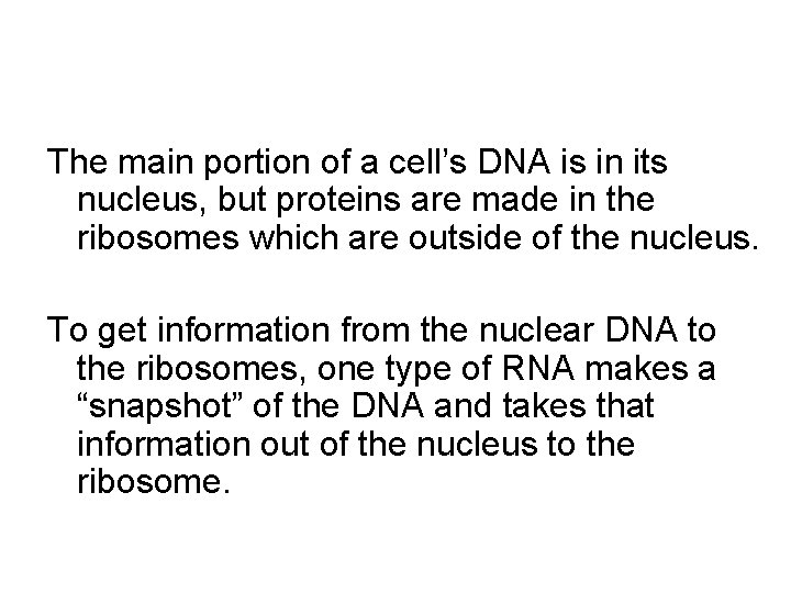 The main portion of a cell’s DNA is in its nucleus, but proteins are