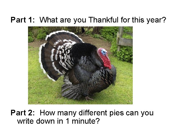 Part 1: What are you Thankful for this year? Part 2: How many different