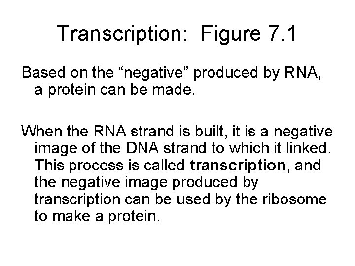 Transcription: Figure 7. 1 Based on the “negative” produced by RNA, a protein can