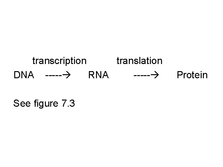 transcription translation DNA ----- RNA ----- See figure 7. 3 Protein 