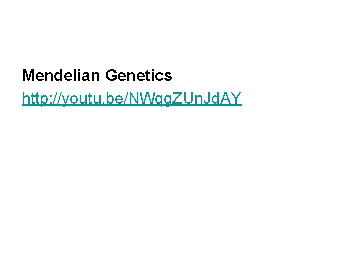 Mendelian Genetics http: //youtu. be/NWqg. ZUn. Jd. AY 