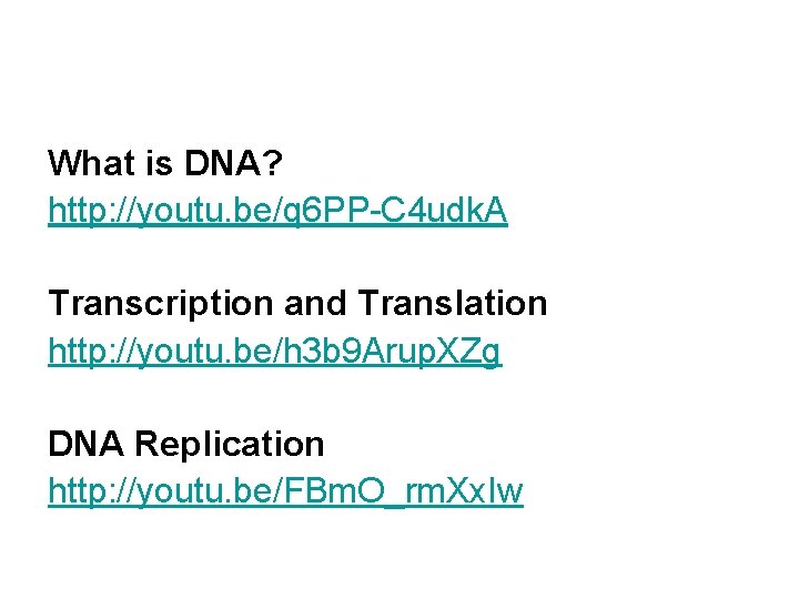 What is DNA? http: //youtu. be/q 6 PP-C 4 udk. A Transcription and Translation