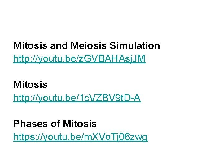 Mitosis and Meiosis Simulation http: //youtu. be/z. GVBAHAsj. JM Mitosis http: //youtu. be/1 c.