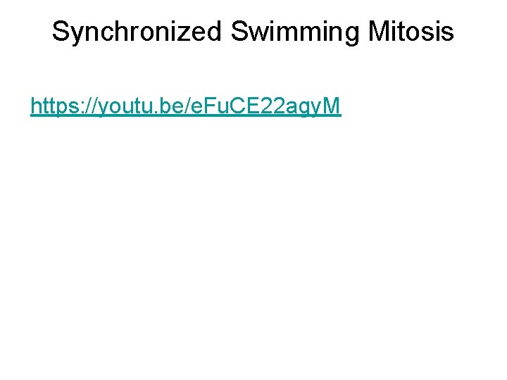 Synchronized Swimming Mitosis https: //youtu. be/e. Fu. CE 22 agy. M 