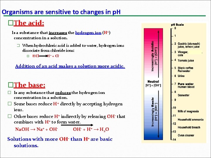 Organisms are sensitive to changes in p. H �The acid: Is a substance that