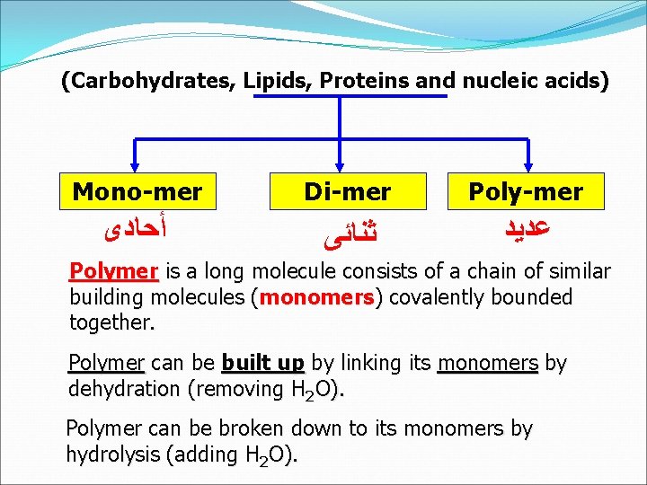 (Carbohydrates, Lipids, Proteins and nucleic acids) Mono-mer Di-mer Poly-mer ﺃﺤﺎﺩﻯ ﺛﻨﺎﺋﻰ ﻋﺪﻳﺪ Polymer is