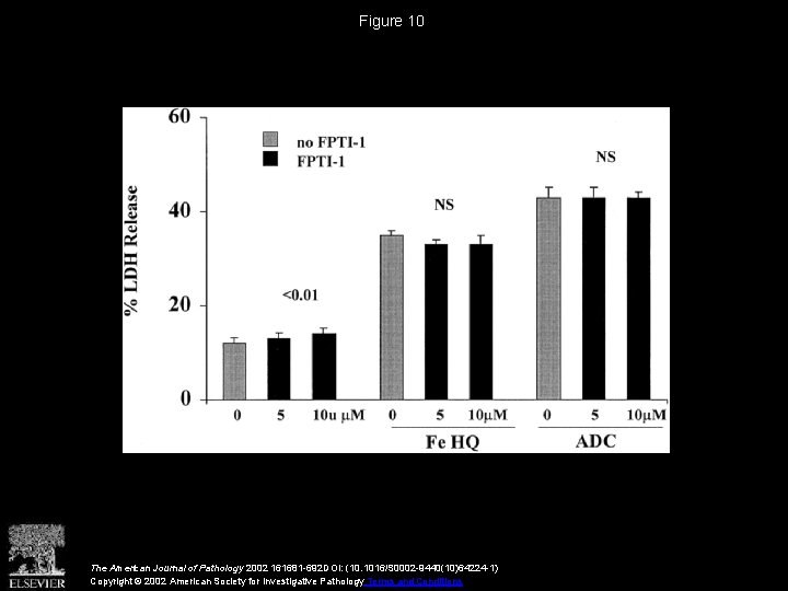 Figure 10 The American Journal of Pathology 2002 161681 -692 DOI: (10. 1016/S 0002