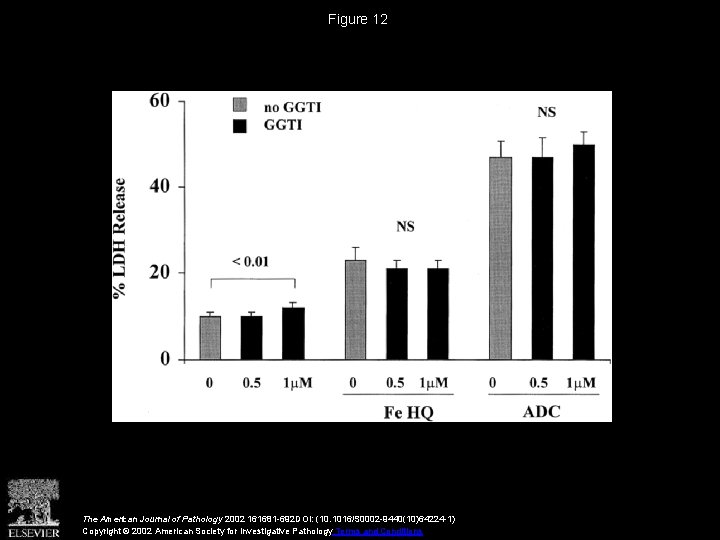 Figure 12 The American Journal of Pathology 2002 161681 -692 DOI: (10. 1016/S 0002