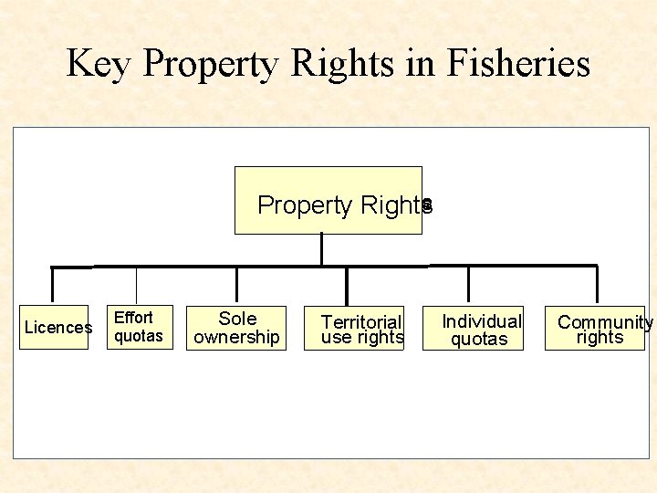 Key Property Rights in Fisheries Property. Rights Property Licences Effort quotas Sole ownership Territorial