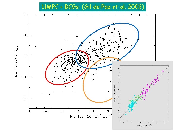 11 MPC + BCGs (Gil de Paz et al. 2003) 