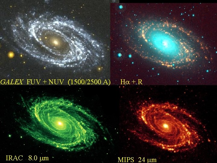 GALEX FUV + NUV (1500/2500 A) IRAC 8. 0 mm Ha + R MIPS