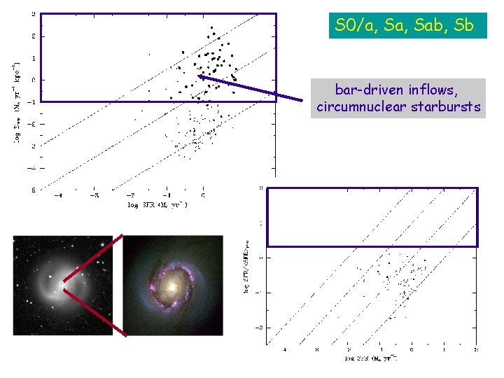 S 0/a, Sab, Sb bar-driven inflows, circumnuclear starbursts 