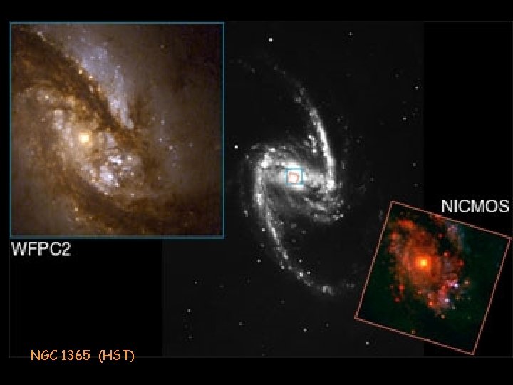 NGC 1365 (HST) 