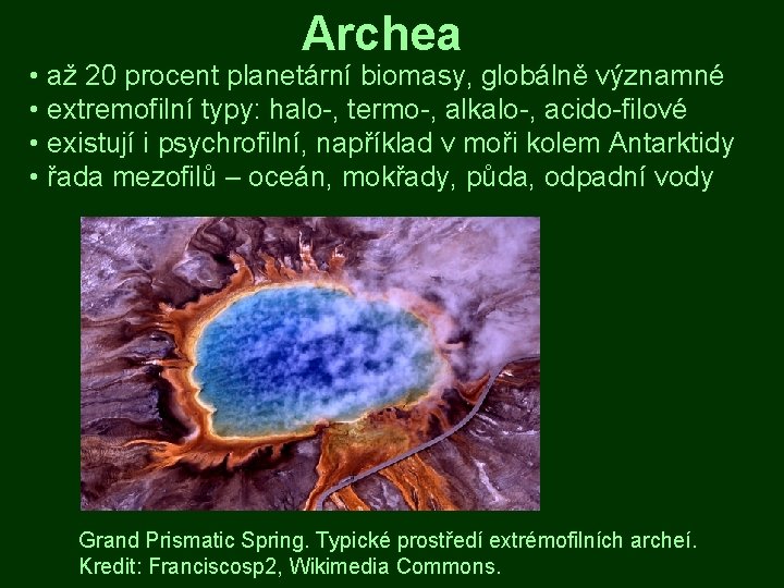 Archea • až 20 procent planetární biomasy, globálně významné • extremofilní typy: halo-, termo-,