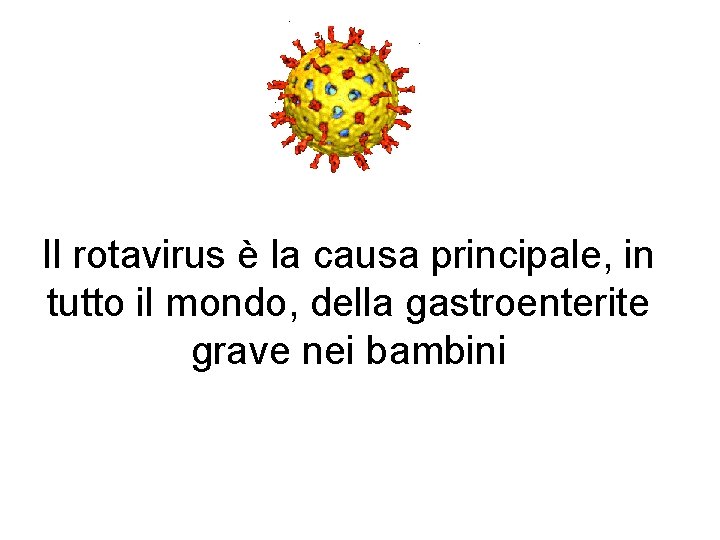 Il rotavirus è la causa principale, in tutto il mondo, della gastroenterite grave nei