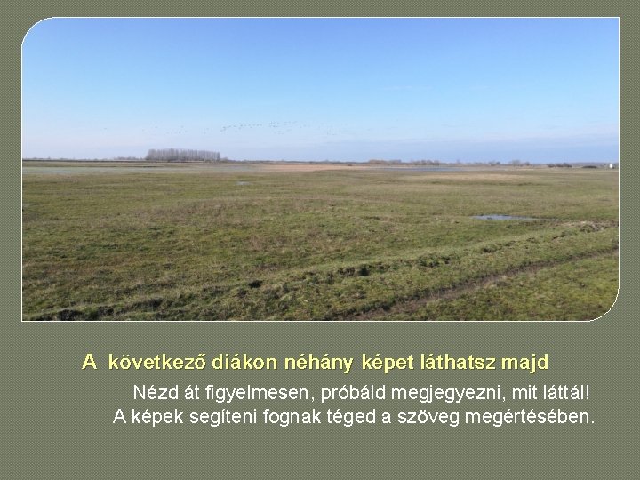 A következő diákon néhány képet láthatsz majd Nézd át figyelmesen, próbáld megjegyezni, mit láttál!