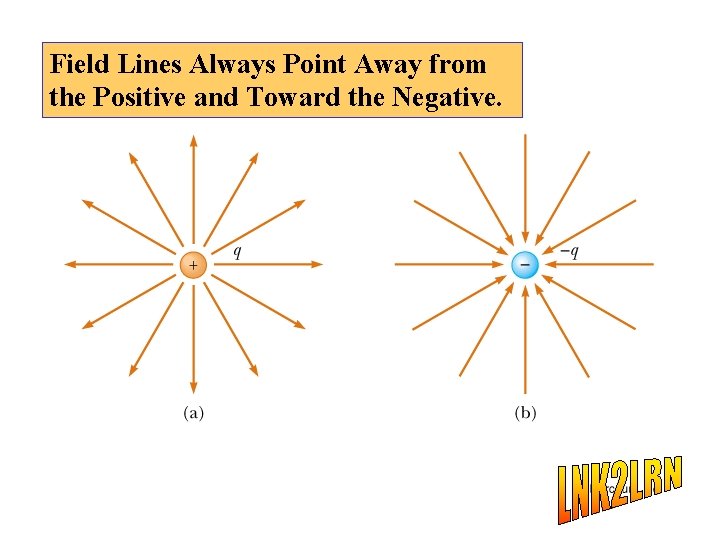 Field Lines Always Point Away from the Positive and Toward the Negative. 