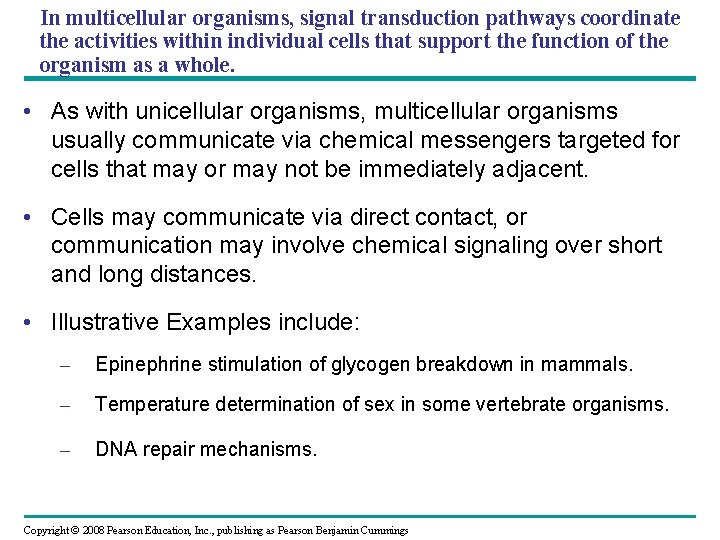 In multicellular organisms, signal transduction pathways coordinate the activities within individual cells that support