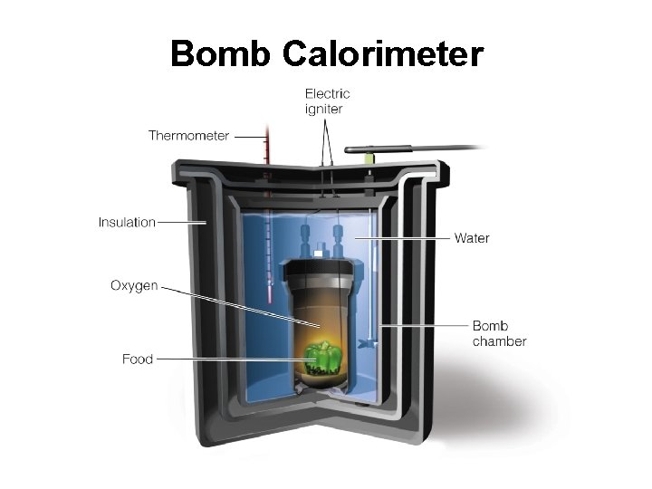 Bomb Calorimeter Bomb Calorimeter