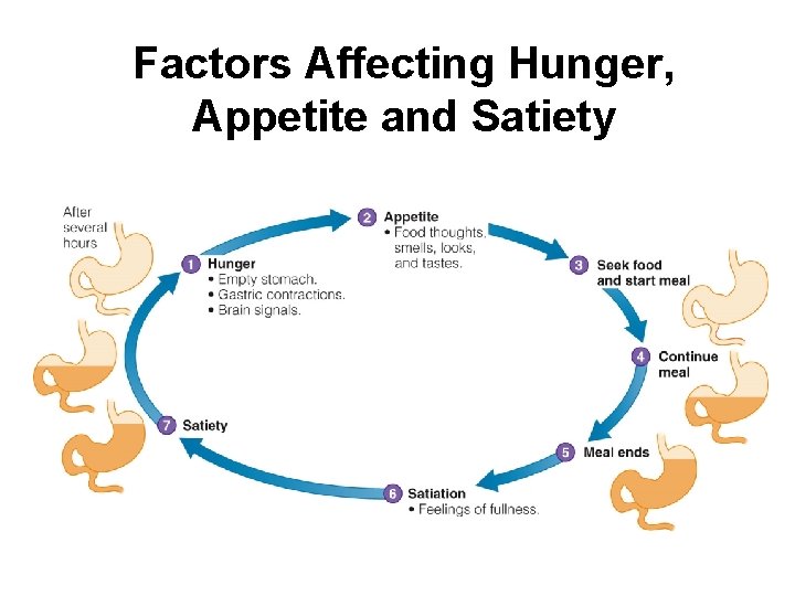 Factors Affecting Hunger, Appetite and Satiety Factors Affecting Hunger, Appetite and Satiety