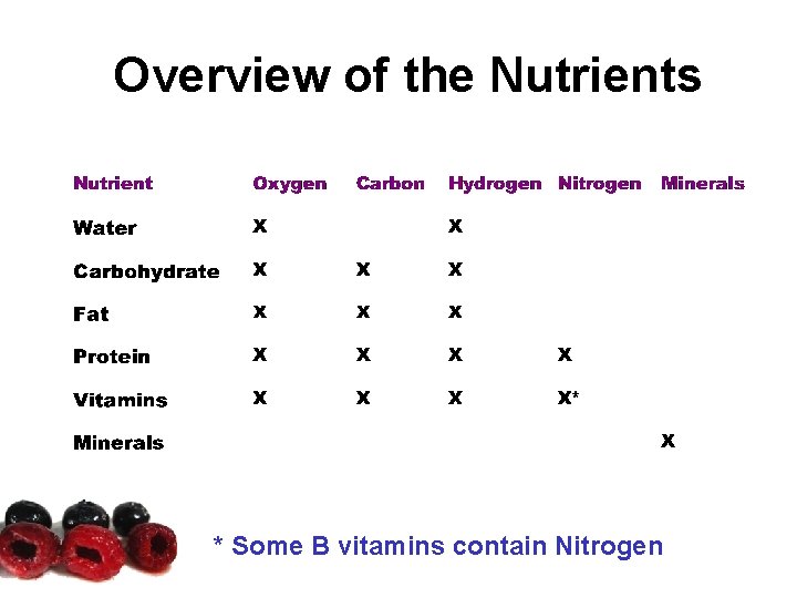 Overview of the Nutrients * Some B vitamins contain Nitrogen Overview of the Nutrients * Some B vitamins contain Nitrogen