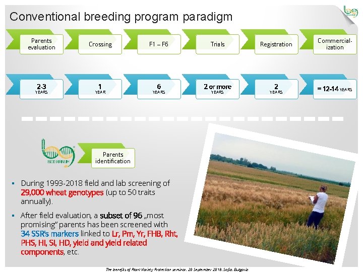 Wheat breeding challenges and opportunities in the Balkan