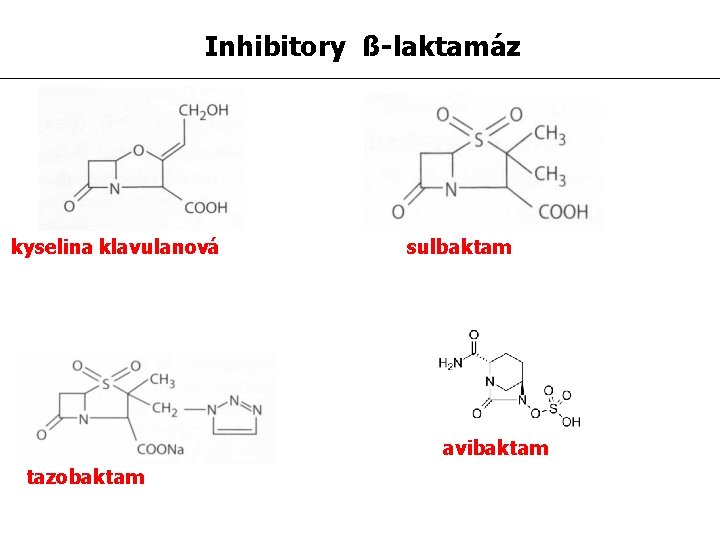 Inhibitory ß-laktamáz kyselina klavulanová sulbaktam avibaktam tazobaktam 