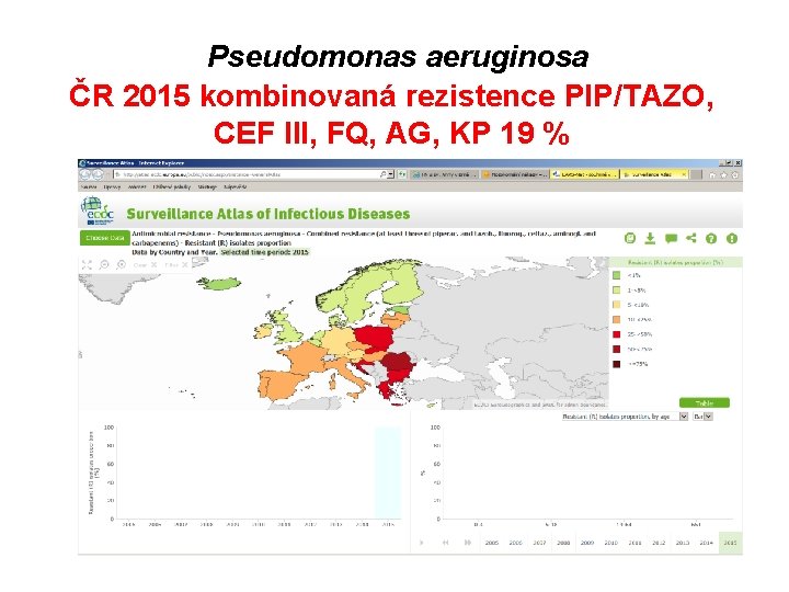 Pseudomonas aeruginosa ČR 2015 kombinovaná rezistence PIP/TAZO, CEF III, FQ, AG, KP 19 %