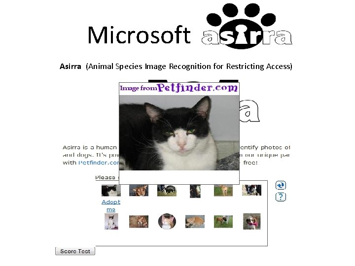 Microsoft Asirra (Animal Species Image Recognition for Restricting Access) 