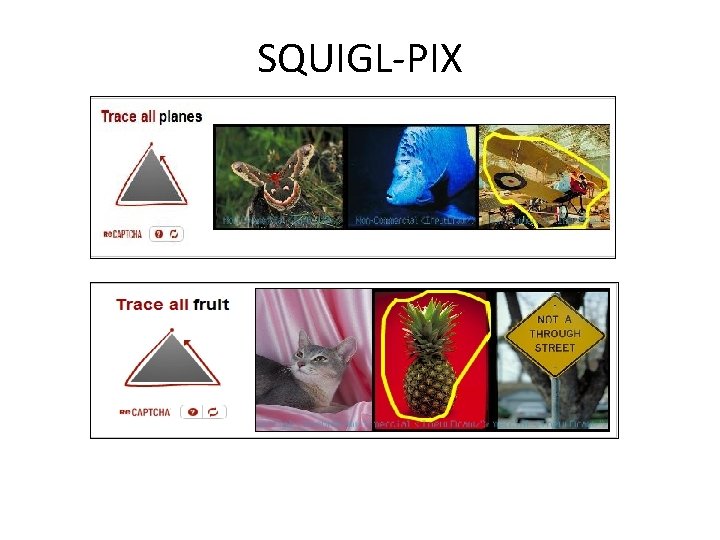 SQUIGL-PIX 