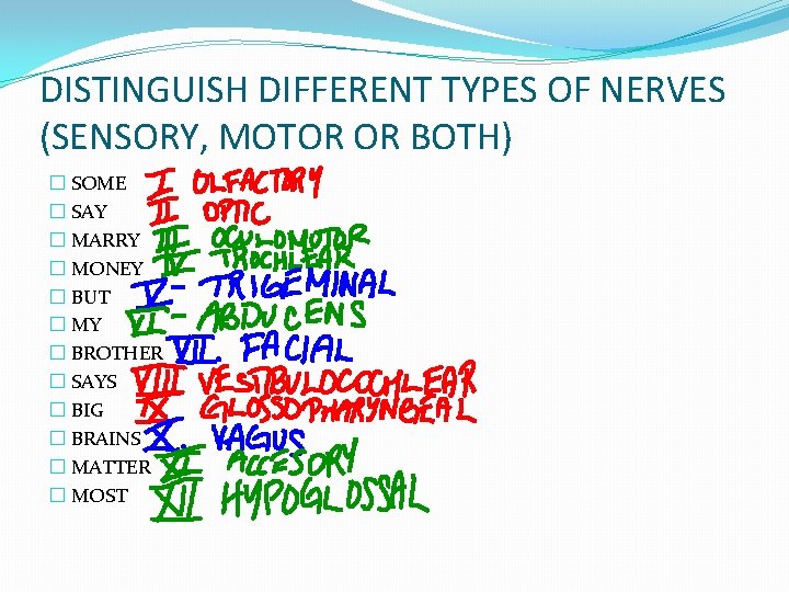 DISTINGUISH DIFFERENT TYPES OF NERVES (SENSORY, MOTOR OR BOTH) � SOME � SAY �