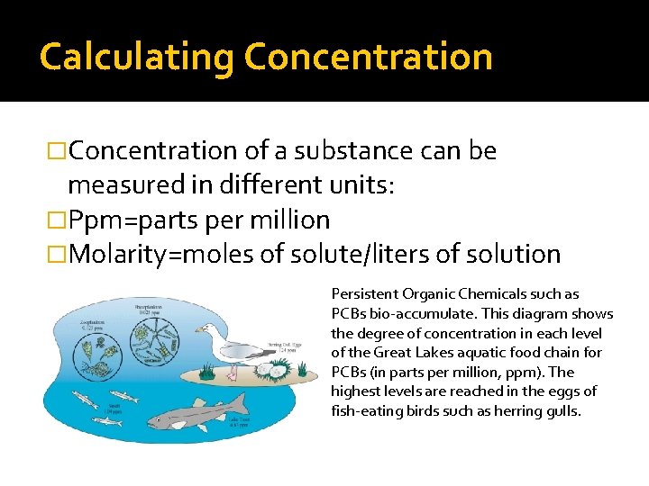 Calculating Concentration �Concentration of a substance can be measured in different units: �Ppm=parts per