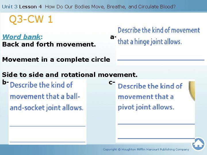 Unit 3 Lesson 4 How Do Our Bodies Move, Breathe, and Circulate Blood? Q