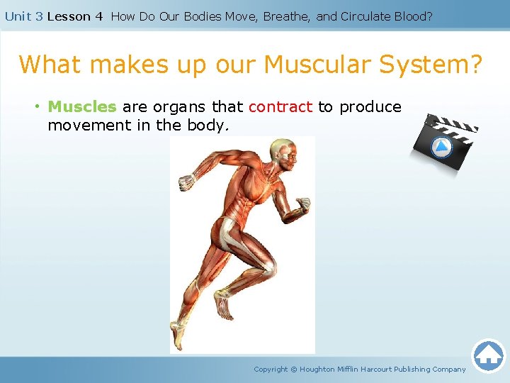Unit 3 Lesson 4 How Do Our Bodies Move, Breathe, and Circulate Blood? What