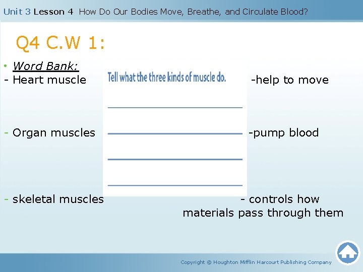 Unit 3 Lesson 4 How Do Our Bodies Move, Breathe, and Circulate Blood? Q