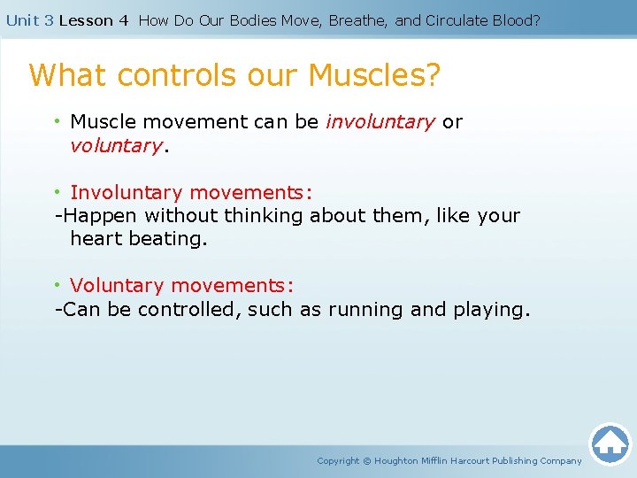 Unit 3 Lesson 4 How Do Our Bodies Move, Breathe, and Circulate Blood? What