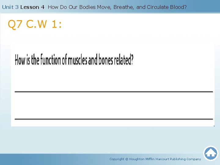 Unit 3 Lesson 4 How Do Our Bodies Move, Breathe, and Circulate Blood? Q