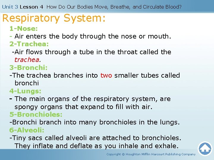 Unit 3 Lesson 4 How Do Our Bodies Move, Breathe, and Circulate Blood? Respiratory