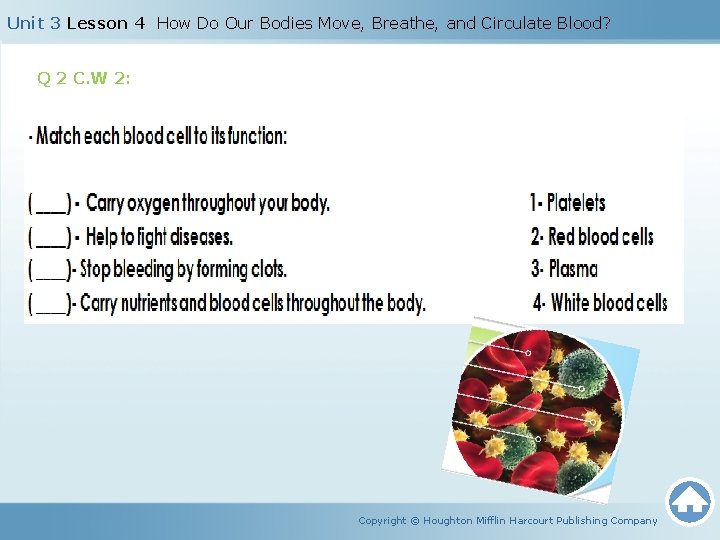 Unit 3 Lesson 4 How Do Our Bodies Move, Breathe, and Circulate Blood? Q