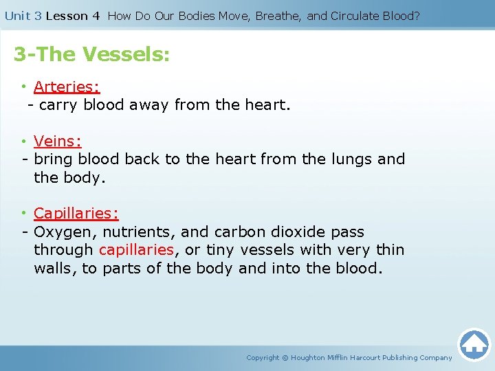 Unit 3 Lesson 4 How Do Our Bodies Move, Breathe, and Circulate Blood? 3