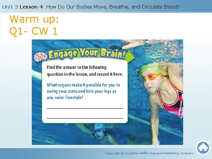 Unit 3 Lesson 4 How Do Our Bodies Move, Breathe, and Circulate Blood? Warm