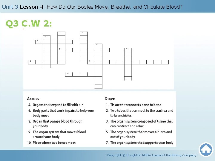 Unit 3 Lesson 4 How Do Our Bodies Move, Breathe, and Circulate Blood? Q