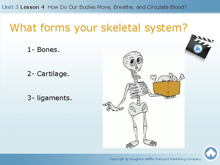 Unit 3 Lesson 4 How Do Our Bodies Move, Breathe, and Circulate Blood? What