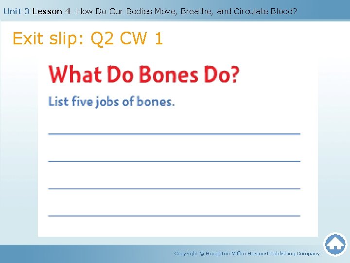 Unit 3 Lesson 4 How Do Our Bodies Move, Breathe, and Circulate Blood? Exit