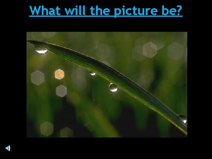 What will the picture be? 