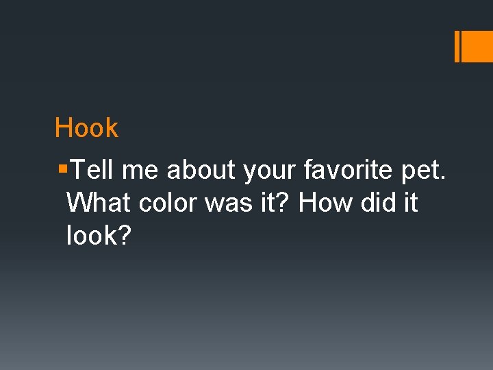 Hook §Tell me about your favorite pet. What color was it? How did it