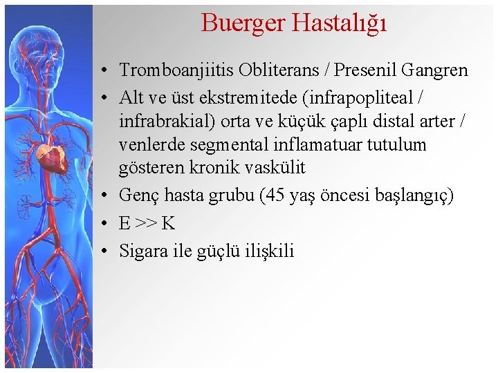Buerger Hastalığı • Tromboanjiitis Obliterans / Presenil Gangren • Alt ve üst ekstremitede (infrapopliteal