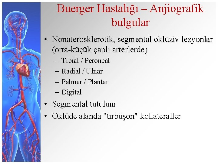 Buerger Hastalığı – Anjiografik bulgular • Nonaterosklerotik, segmental oklüziv lezyonlar (orta-küçük çaplı arterlerde) –