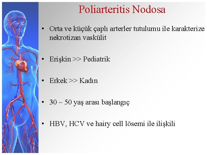 Poliarteritis Nodosa • Orta ve küçük çaplı arterler tutulumu ile karakterize nekrotizan vaskülit •