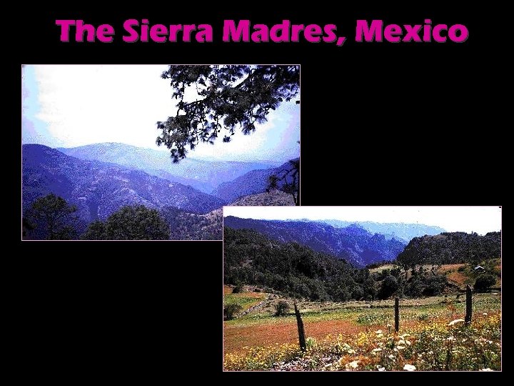 The Sierra Madres, Mexico 